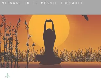 Massage in  Le Mesnil-Thébault