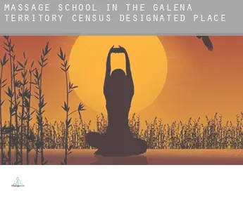 Massage school in  The Galena Territory