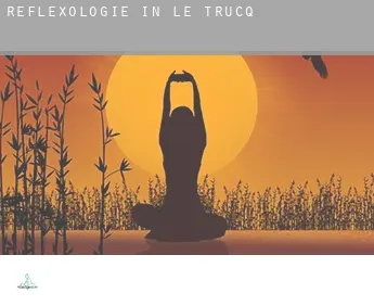 Reflexologie in  Le Trucq