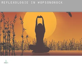 Reflexologie in  Wopsononock