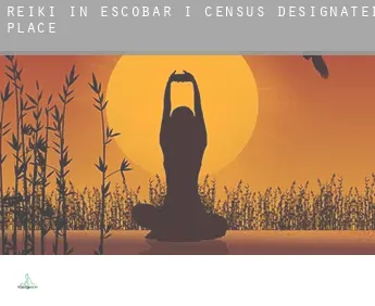 Reiki in  Escobar I