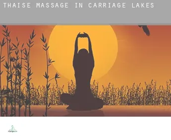 Thaise massage in  Carriage Lakes