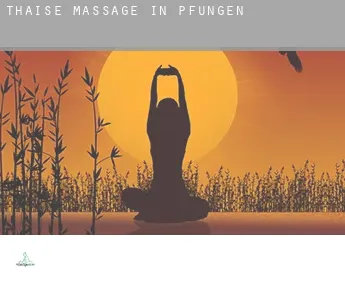 Thaise massage in  Pfungen