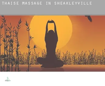 Thaise massage in  Sheakleyville