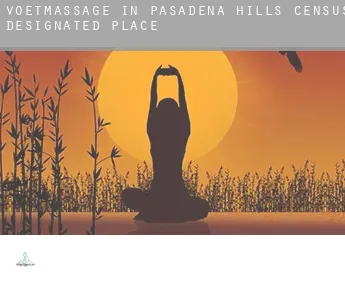 Voetmassage in  Pasadena Hills