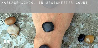 Massage school in  Westchester County