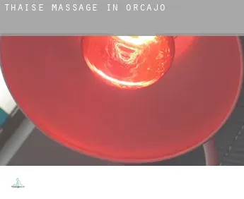 Thaise massage in  Orcajo