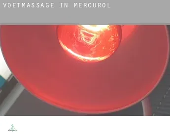 Voetmassage in  Mercurol
