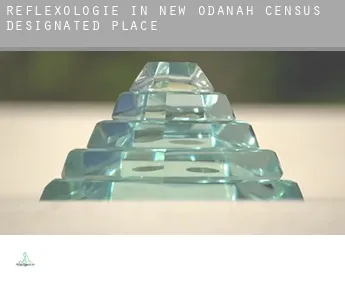 Reflexologie in  New Odanah