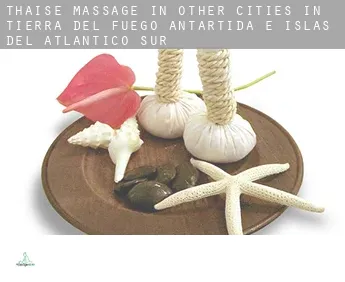 Thaise massage in  Other cities in Tierra del Fuego, Antartida e Islas del Atlantico Sur