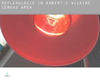 Reflexologie in  Robert-C.-Wilkins (census area)
