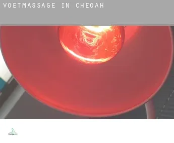 Voetmassage in  Cheoah