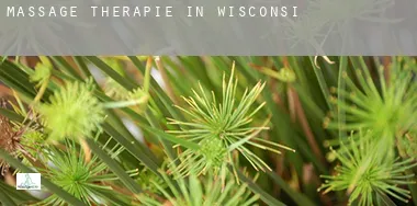 Massage therapie in  Wisconsin