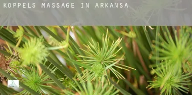Koppels massage in  Arkansas