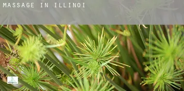 Massage in Illinois