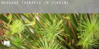 Massage therapie in  Virginia