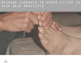 Massage therapie in  Other cities in Vega Baja Municipio