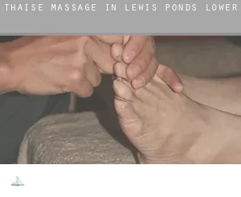 Thaise massage in  Lewis Ponds Lower