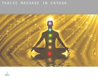 Thaise massage in  Cayuga