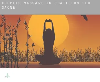 Koppels massage in  Châtillon-sur-Saône