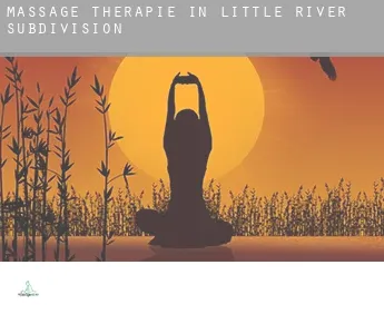 Massage therapie in  Little River Subdivision