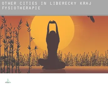 Other cities in Liberecky kraj fysiotherapie
