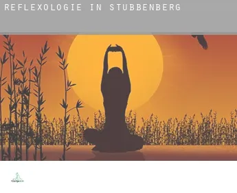 Reflexologie in  Stubbenberg