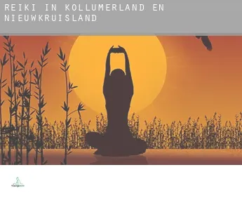 Reiki in  Kollumerland en Nieuwkruisland