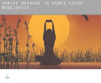 Thaise massage in  Okres Ceske Budejovice