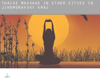 Thaise massage in  Other cities in Jihomoravsky kraj