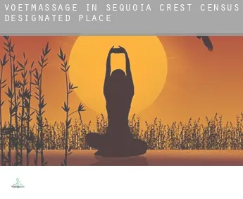 Voetmassage in  Sequoia Crest